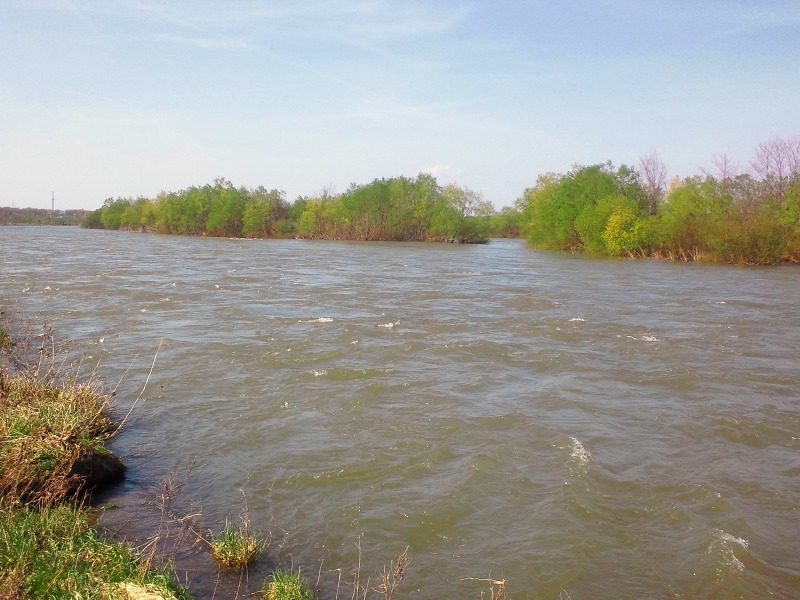 b0207491_16452322.jpg