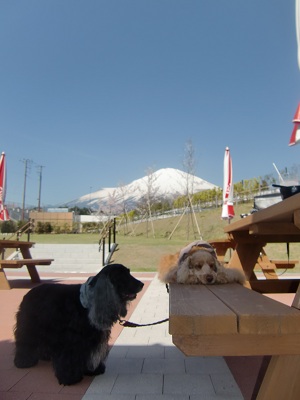 a0134004_23154976.jpg