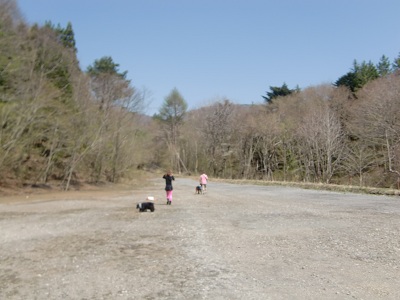 a0134004_23155776.jpg
