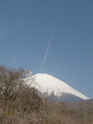 a0134004_23165214.jpg