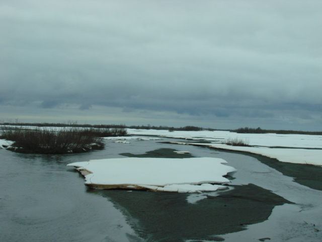 d0251307_3194048.jpg
