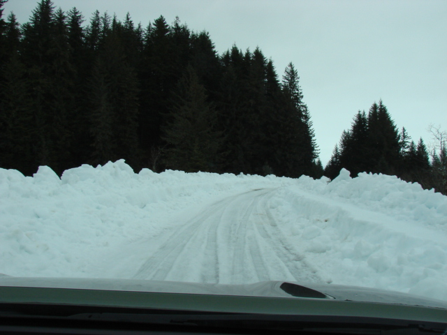 d0251307_3223694.jpg