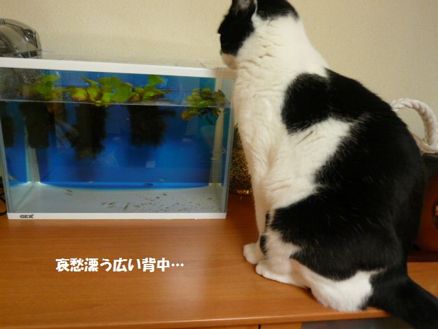 e0094407_0281589.jpg