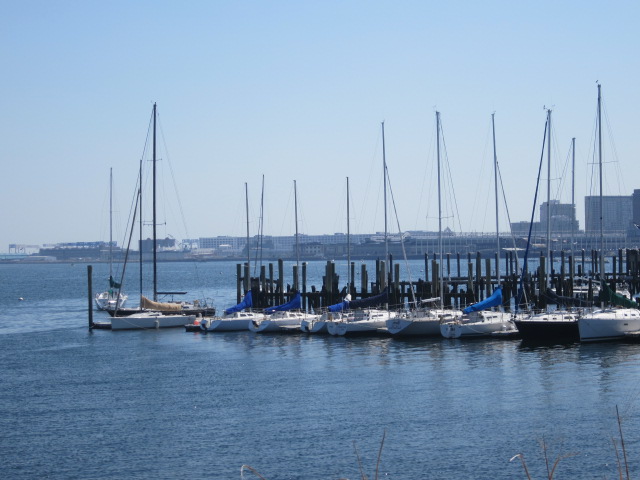 a0161409_0531750.jpg