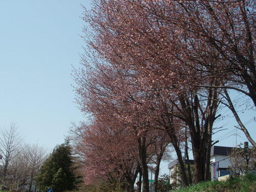 b0198109_16554688.jpg