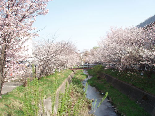 b0198109_17671.jpg