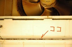 f0000211_1821918.jpg