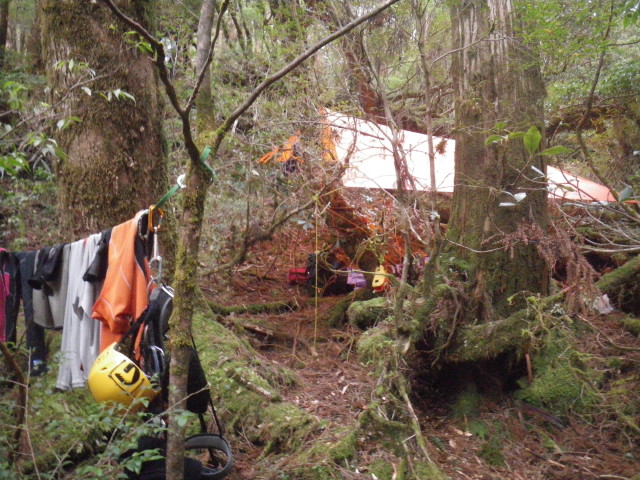 d0006512_00037.jpg