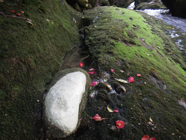 d0006512_11111759.jpg