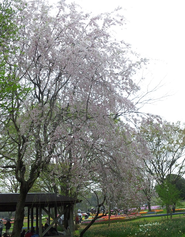 b0199924_13543847.jpg