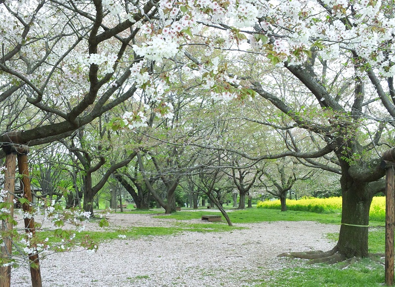 b0199924_1355910.jpg