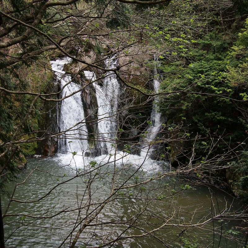 d0252924_1717085.jpg