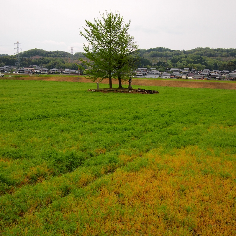d0252924_17172879.jpg