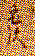 d0179225_1241551.jpg