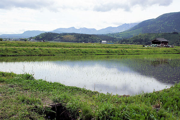f0007926_11263427.jpg