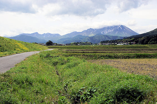 f0007926_1128931.jpg