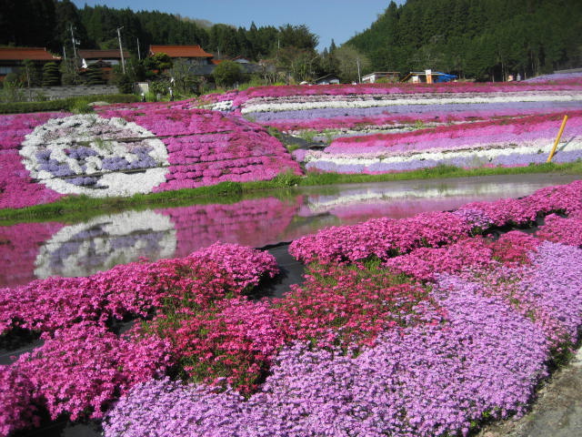 b0166435_21385316.jpg