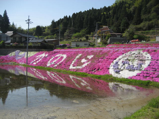 b0166435_21392343.jpg
