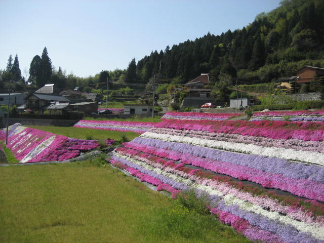 b0166435_21404062.jpg