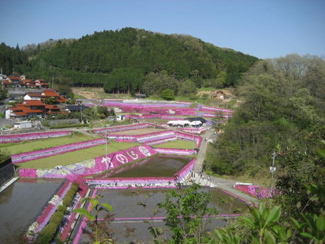 b0166435_21412555.jpg