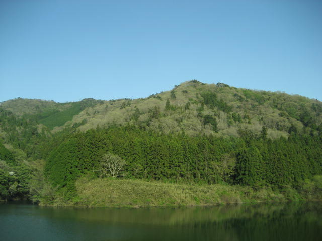 b0166435_2159556.jpg