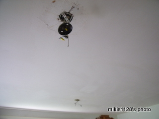 f0045736_13502541.jpg