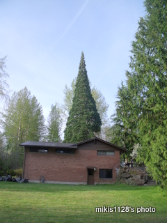 f0045736_1402839.jpg