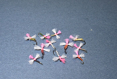 b0174137_23192882.jpg