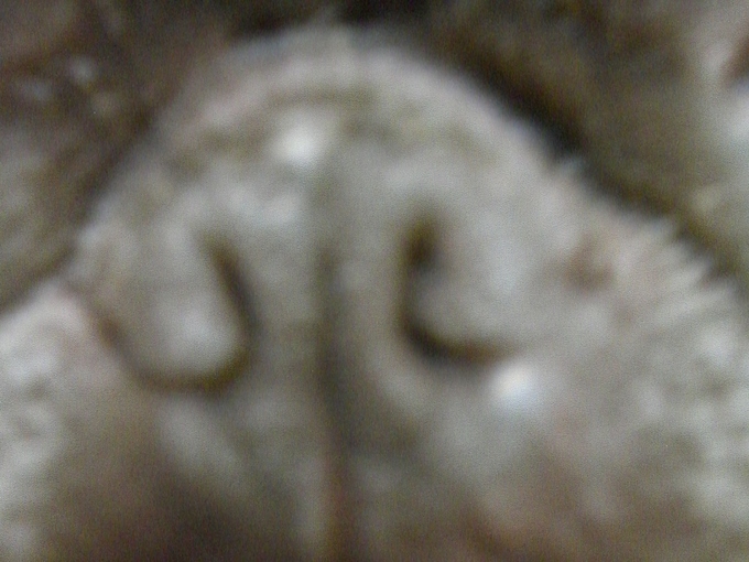 b0244137_20541358.jpg