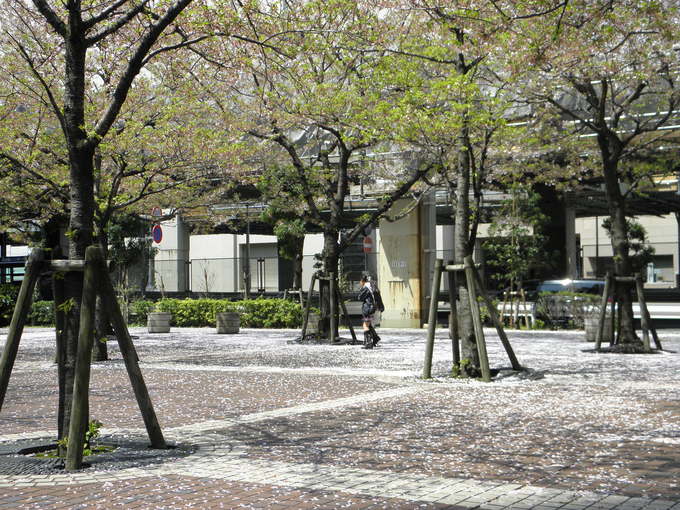 b0244137_22123553.jpg