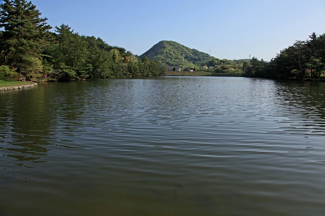 a0242438_16359100.jpg