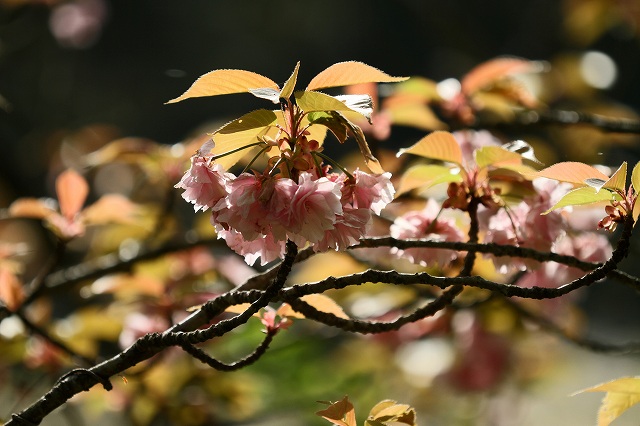 a0242438_1637924.jpg