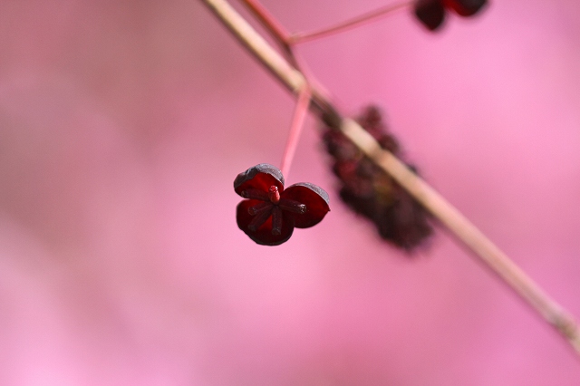 a0242438_1640057.jpg