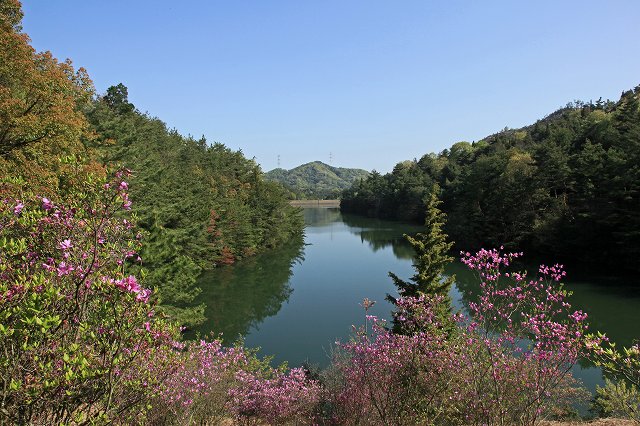 a0242438_16402323.jpg