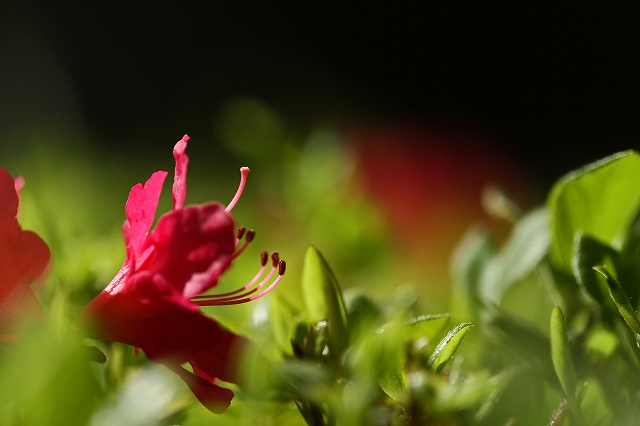 a0242438_1641419.jpg