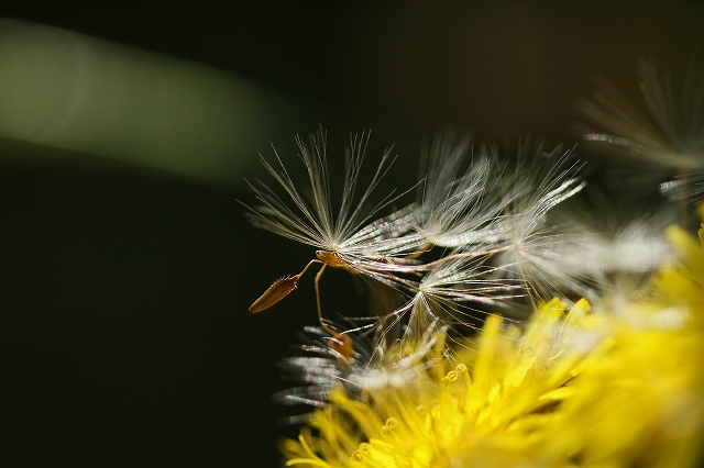 a0242438_1642446.jpg