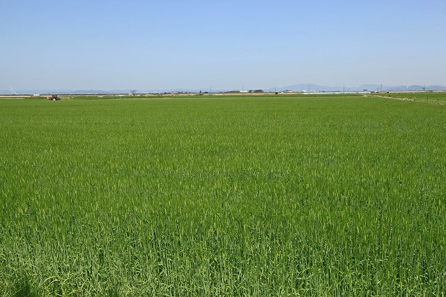 a0242438_17541360.jpg