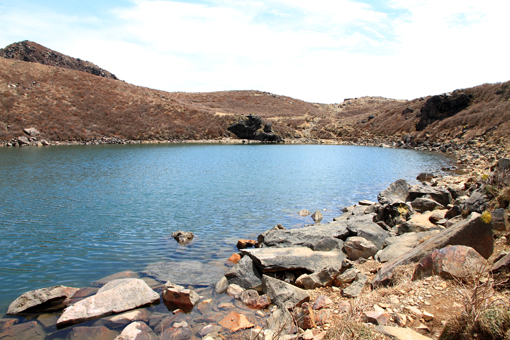 d0028138_9315243.jpg