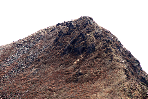 d0028138_9323034.jpg