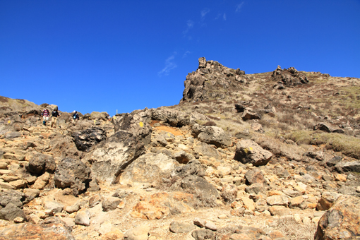 d0028138_93319.jpg