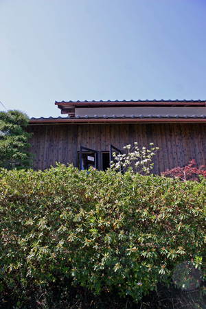 d0082238_23381327.jpg