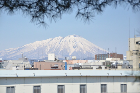 d0156438_2146711.jpg