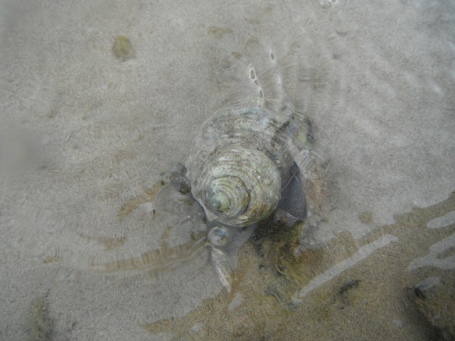d0222641_10295150.jpg