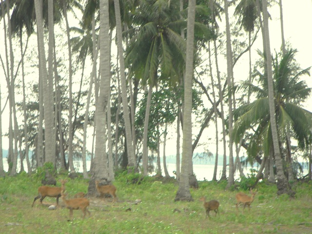 d0222641_9511166.jpg