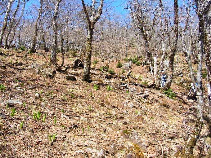 b0190242_17162682.jpg