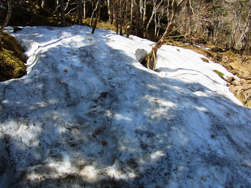 b0190242_17172238.jpg