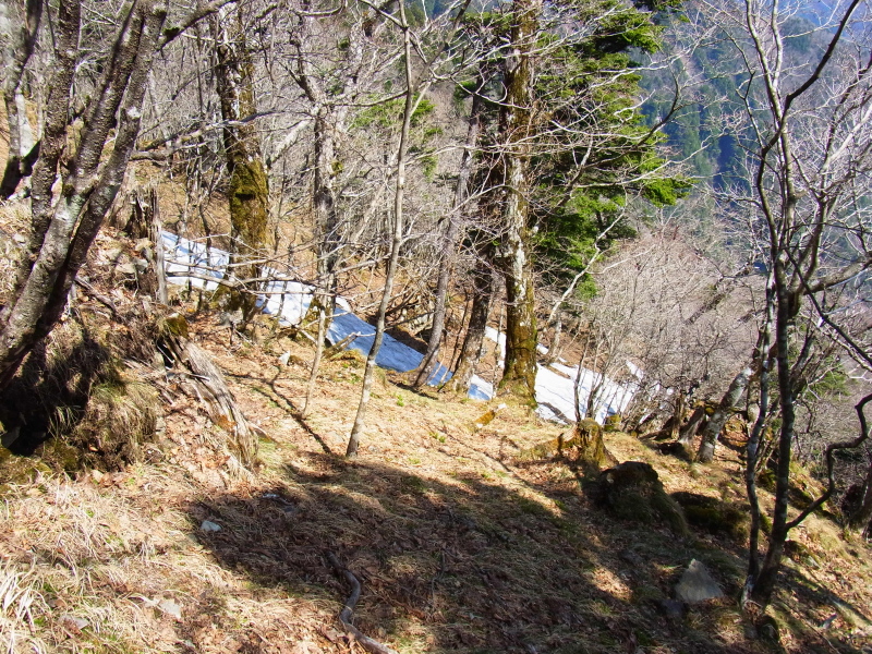 b0190242_1717251.jpg