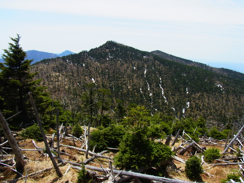 b0190242_1720314.jpg