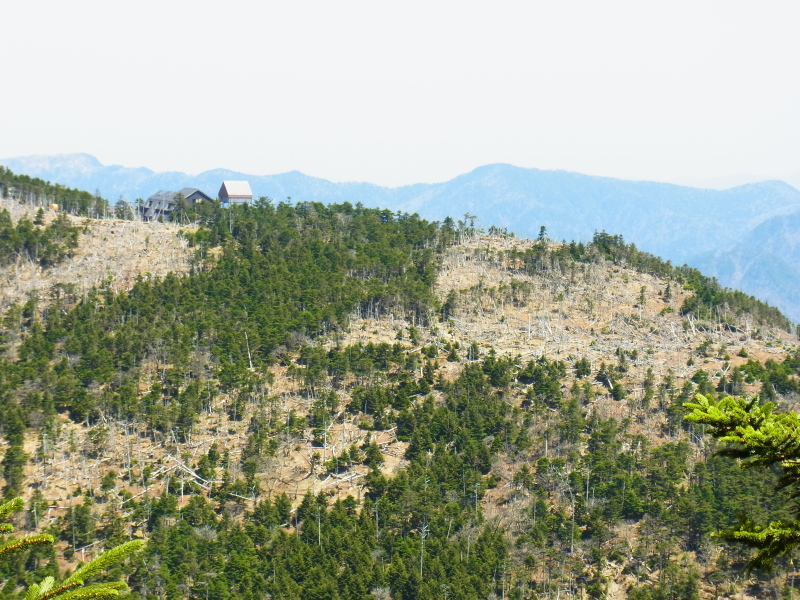 b0190242_1723558.jpg