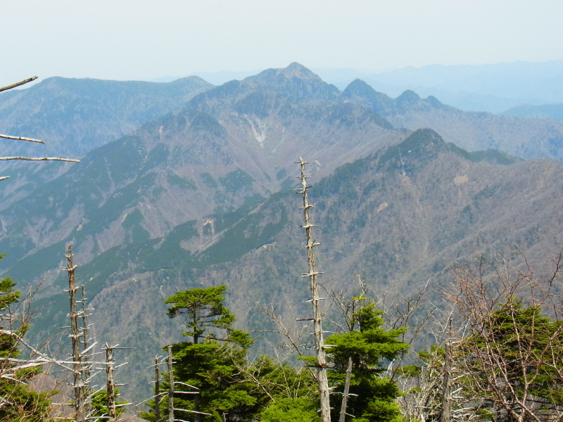 b0190242_17242442.jpg
